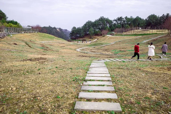 블록으로 — 스톡 사진