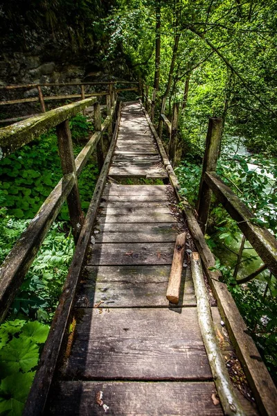 Uma Velha Ponte Madeira Quebrada Sobre Rio Uma Floresta Densa — Fotografia de Stock