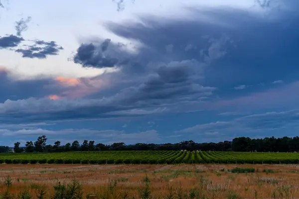 Une Belle Scène Coucher Soleil Ciel Nuageux Gris Sur Les — Photo