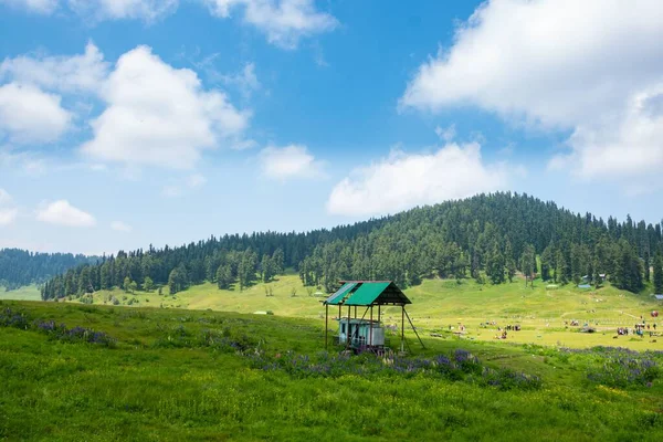 カシミール渓谷 地球上の楽園 の素晴らしい写真 山と緑のモミに囲まれたBetaab Valleyの美しい景色 — ストック写真