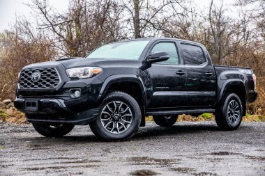 Toyota Tacoma kamyonu yapraksız ağaçların arkasına park etmiş..