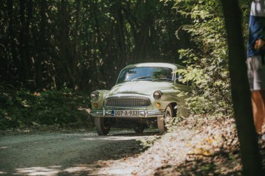 Antika bir Skoda Octavia, 1963 'te ormanlık alanda dar bir yolda üretilmiş.
