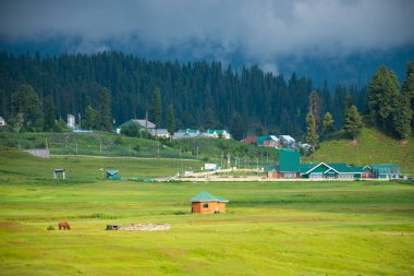 Gulmarg (Mini İsviçre), Jammu ve Kashmir, Hindistan.