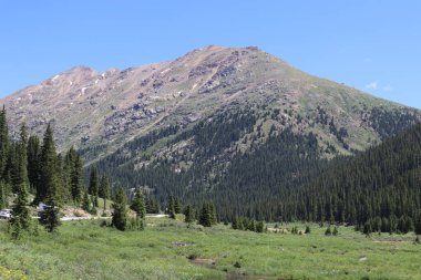 Colorado, ABD 'de Continental Divide yakınlarında bir dağ manzarası ve kozalaklı bir orman.