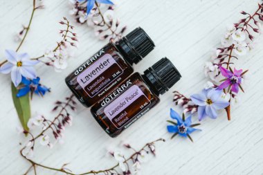 Illustrative editorial image of Doterra Essential oil