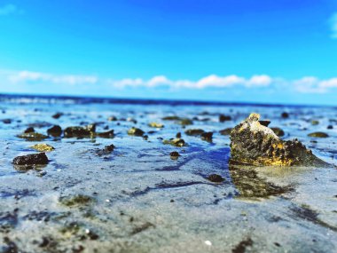 Sular yükseldiğinde, kıyıdaki mermilerin yakın plan çekimi.