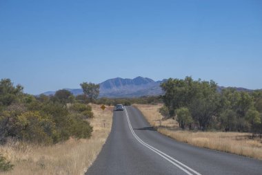 Mavi parlak gökyüzünün altında yoğun yeşil ağaçlarla çevrili bir yol manzarası