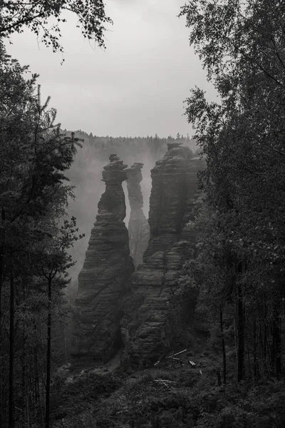 Vertical Grayscale Shot Rocks Foggy Forest Wulingyuan China — Stock Photo, Image