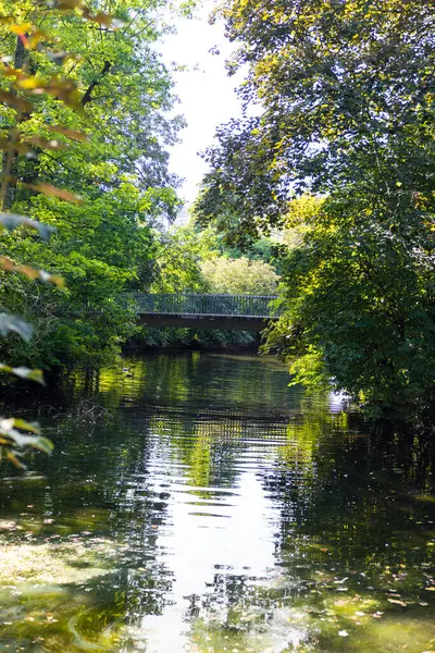 Eine Vertikale Aufnahme Einer Brücke Über Einen Kleinen See Park — Stockfoto