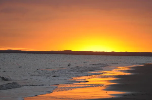 Una Hermosa Vista Del Amanecer Playa Hervey Bay Queensland Australia — Foto de Stock
