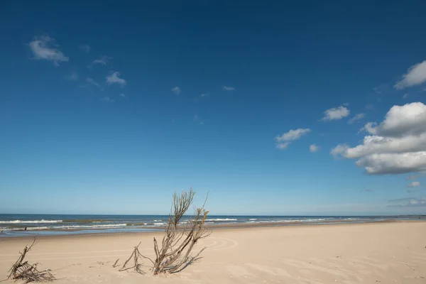 Гарний Знімок Піщаного Пляжу Під Блакитним Хмарним Небом Сонячний День — стокове фото