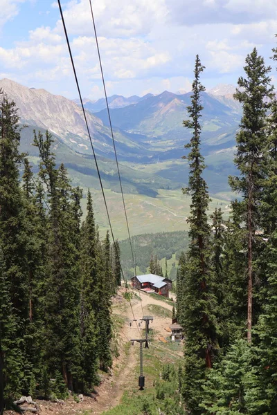 Eine Vertikale Aufnahme Der Seilbahn Umgeben Von Grünen Bäumen — Stockfoto