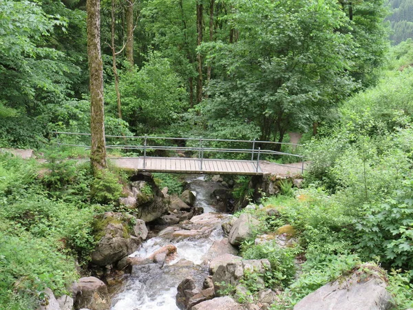 Drewniany Most Przez Rzekę Lesie — Zdjęcie stockowe