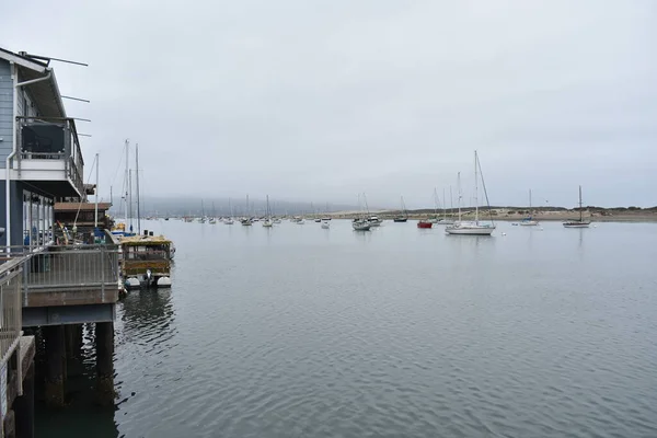 Uma Bela Vista Porto Com Barcos Morro Bay Califórnia — Fotografia de Stock