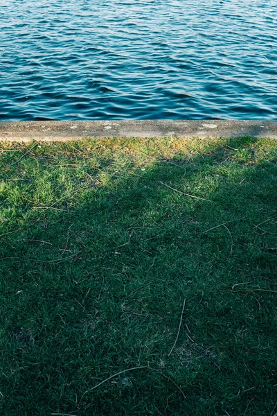 Uma Bela Vista Grama Junto Lago Dia Ensolarado — Fotografia de Stock