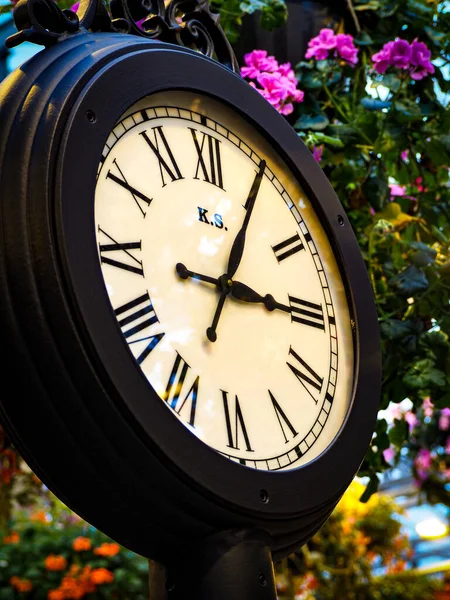 Plano Vertical Reloj Vintage Rodeado Coloridas Flores Arbustos Las Calles —  Fotos de Stock