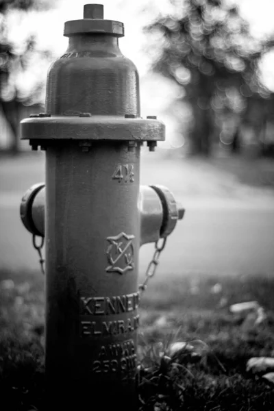 Svislý Snímek Požárního Hydrantu Stupních Šedi — Stock fotografie