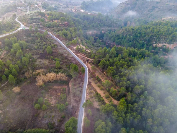 Veduta Aerea Paesaggio Con Una Strada Alberi Una Giornata Nebbiosa — Foto Stock