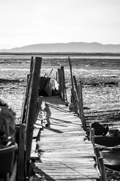 Plan Niveaux Gris Port Traditionnel Des Pêcheurs Carrasqueira Dans Région — Photo