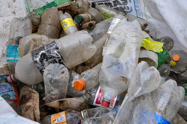 Fecho Saco Lixo Lixo Extraído Rio Paraná Durante Dia Limpeza — Fotografia de Stock