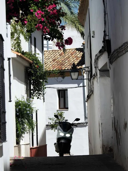 Een Verticale Opname Van Traditionele Gebouwen Oude Binnenstad Van Cordoba — Stockfoto