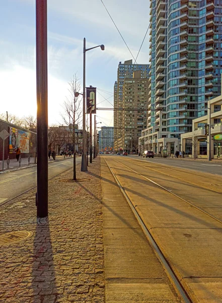 Транзитная Комиссия Автобус Городе Торонто Канада — стоковое фото