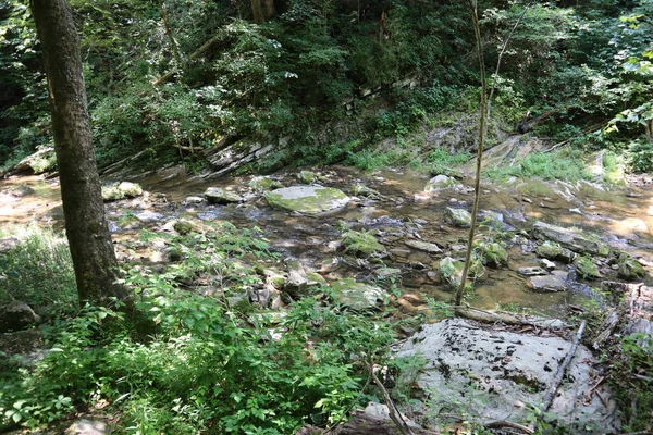 Μια Creekside Άποψη Βράχια Στη Βιρτζίνια Ηπα — Φωτογραφία Αρχείου