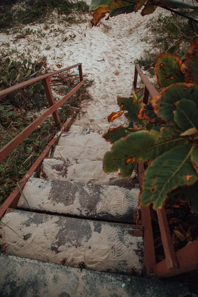 砂に覆われた庭の階段の垂直ショット — ストック写真