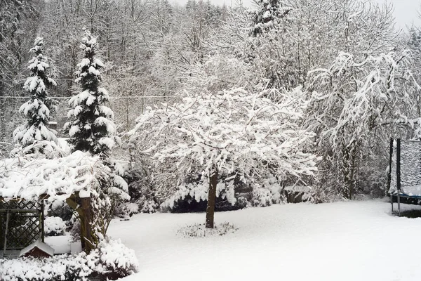 Prachtig Uitzicht Een Winterlandschap Met Besneeuwde Bomen Hvar Kroatië — Stockfoto