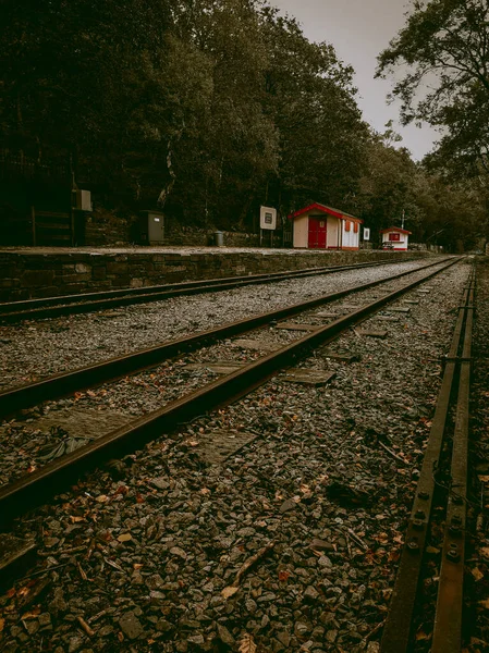 Ένα Κοντινό Πλάνο Σιδηροδρόμου Δάσος — Φωτογραφία Αρχείου