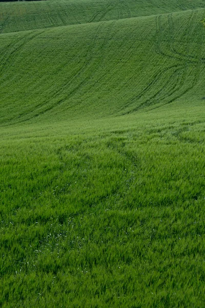 Beau Cliché Paysage Sous Ciel Nuageux — Photo