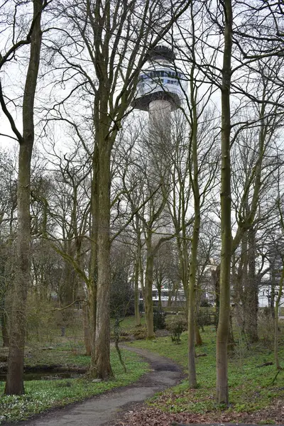 Pionowe Ujęcie Ścieżki Otoczonej Drzewami Rotterdam Tower Rotterdamie Holandia — Zdjęcie stockowe