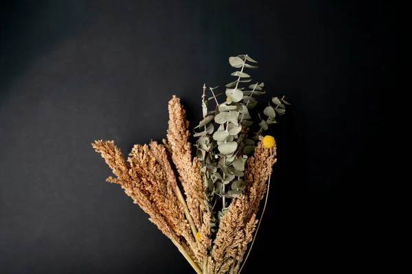 Eine Dekoration Mit Getrocknetem Herbstgrün Auf Dunklem Hintergrund — Stockfoto