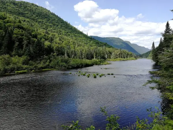 ケベック州の晴れた日に森に沿って流れる川 — ストック写真