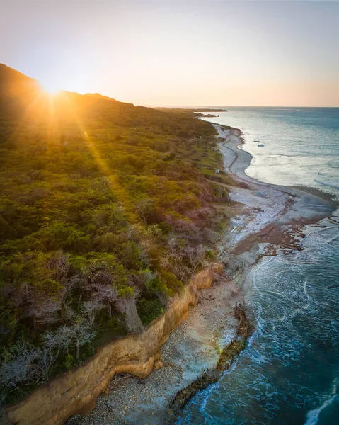 Uma Vista Aérea Costa Coberta Vegetação Verde — Fotografia de Stock