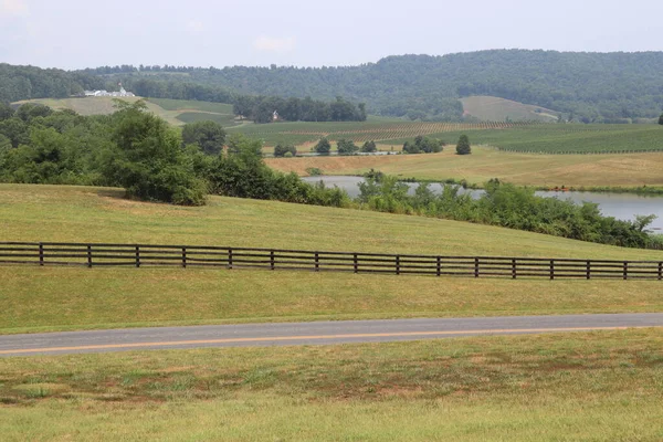 Beau Paysage Prairies Vignobles Près Monticello Virginie Usa — Photo