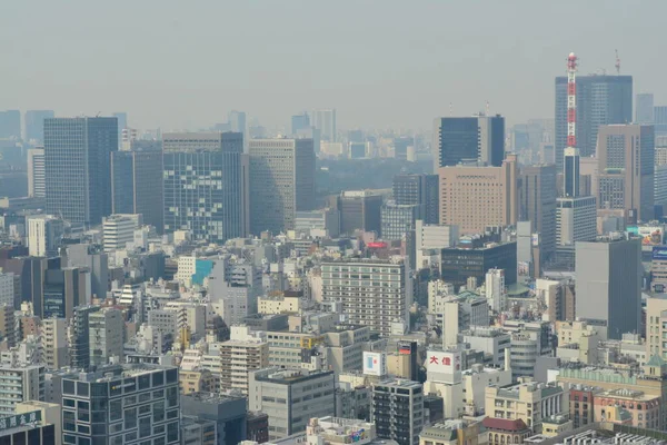 Dimmig Dag Tokyo Japan — Stockfoto