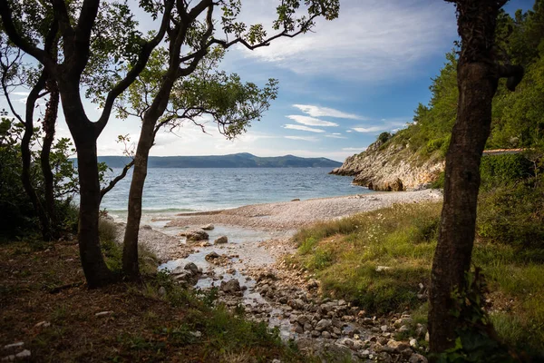 Ein Weg Der Küste Der Zum Meer Führt — Stockfoto