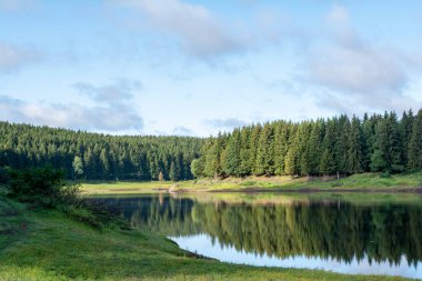Arka planda orman olan bir göle yakın çekim.