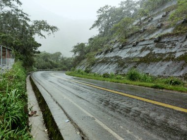 Coroico, Bolivya 'da kasvetli bir günde kayalar ve sık ağaçlarla çevrili ıslak bir yol.