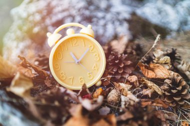 Çalar saat ve konilerin yakın plan çekimi.