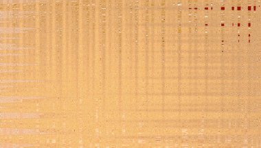 Duvar kağıtları için kopyalama alanı olan dokulu turuncu bir arkaplan