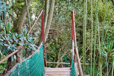 Ormanda asılı bir köprü direğinin yakın çekimi.