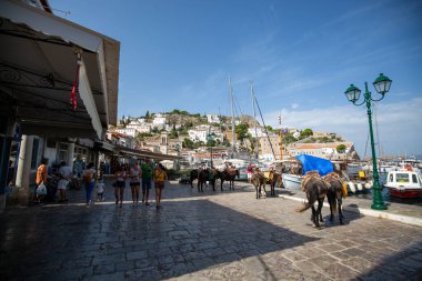 Yunanistan 'da Atina' daki Hydra adasının kıyısındaki eski binaların açık hava manzarası