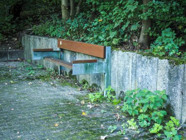 Bahçeli bir parkta bir bank manzarası