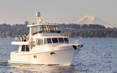 Sahilin arka planında büyüyen ağaçlarla birlikte denizde yüzen beyaz bir yat.