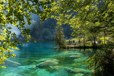 Bernse Oberland, İsviçre 'deki büyüleyici Blausee (Mavi Göl)