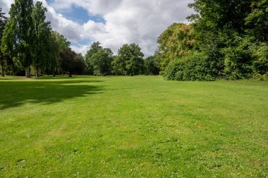 Ağaçların arasında, bulutlu bir arka planı olan parlak yeşil bir tarlanın güzel bir manzarası.