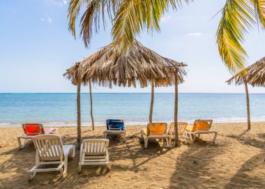 Küba sahilindeki kumlu sahilde güneşlenirler.