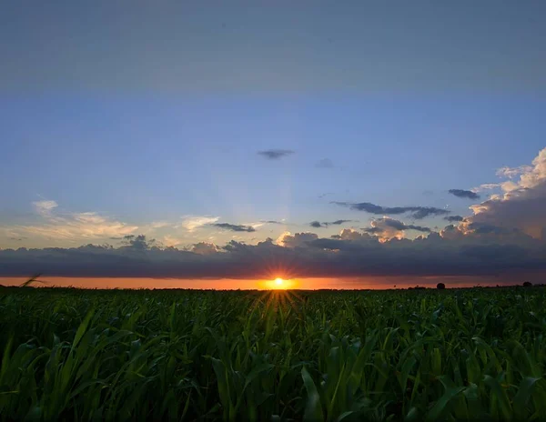 Ciel Nuageux Coucher Soleil Sur Une Prairie Verte — Photo